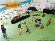 The Dog Ranch 