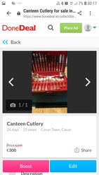 Canteen cutlery