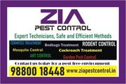 Pest control solutions | General pest control | Kammanahalli   | Marth